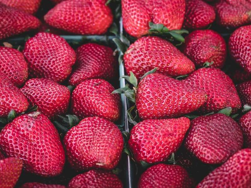 Homestay owner welcoming guests